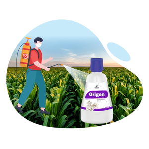 INSECTICIDES