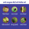 Satpura Origen - Chlorantraniliprole 18.5% SC Broad-Spectrum Insecticide