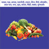 Satpura Origen - Chlorantraniliprole 18.5% SC Broad-Spectrum Insecticide