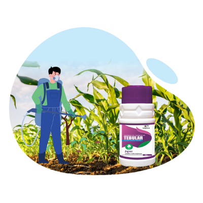 FUNGICIDES