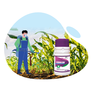 FUNGICIDE