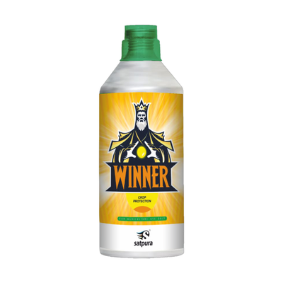 WINNER