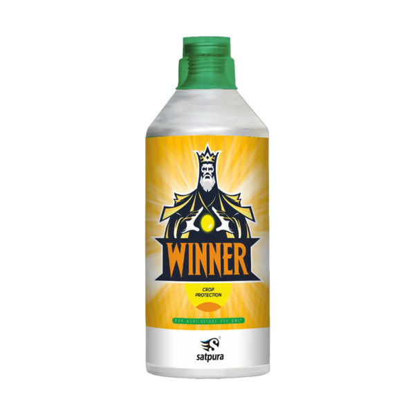 WINNER